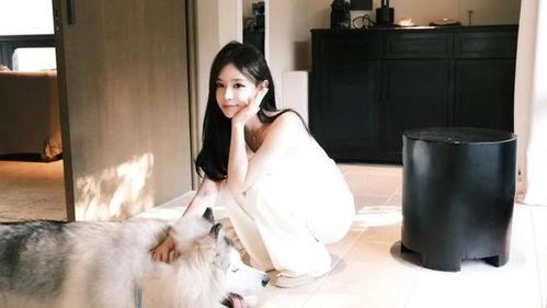 明星黑料网站视频免费观看 初代网红雪梨被曝大瓜,黑料网站视频免费观看揭露惊人内幕